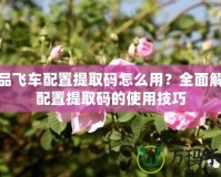 極品飛車配置提取碼怎么用？全面解讀配置提取碼的使用技巧