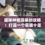 貓咪種植園裝扮攻略：打造一個萌趣十足的貓咪樂園