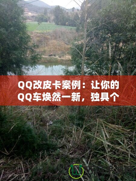 QQ改皮卡案例：讓你的QQ車煥然一新，獨(dú)具個(gè)性！