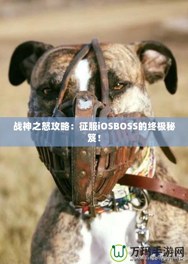 戰神之怒攻略：征服iOSBOSS的終極秘笈！