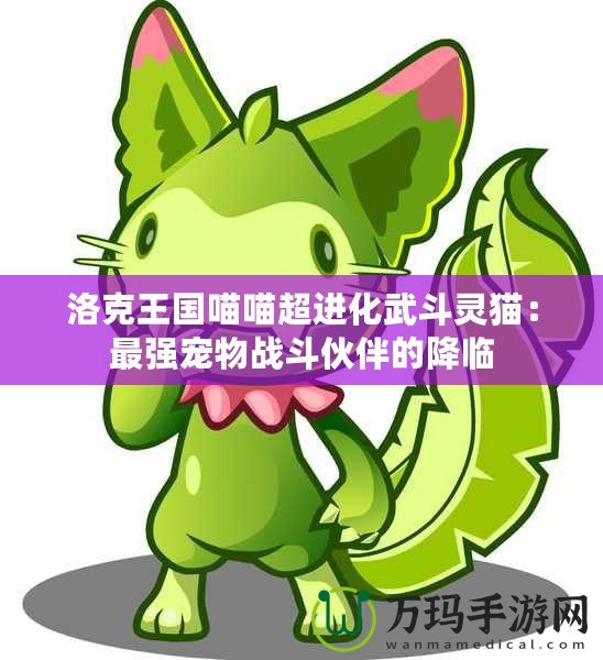 洛克王國喵喵超進化武斗靈貓：最強寵物戰(zhàn)斗伙伴的降臨