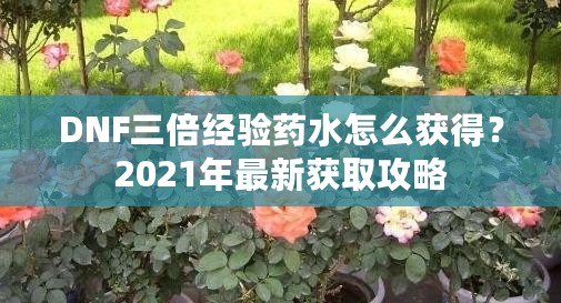 DNF三倍經驗藥水怎么獲得？2021年最新獲取攻略