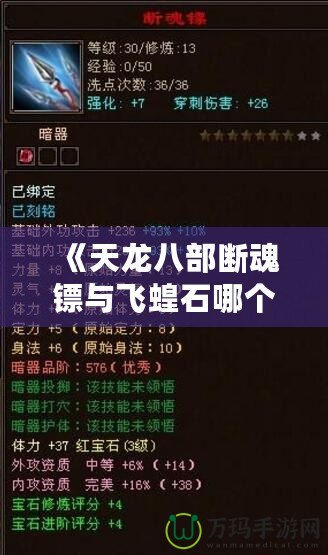 《天龍八部斷魂鏢與飛蝗石哪個好？終極對決，帶你深入了解兩大神兵利器！》