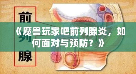 《魔獸玩家吧前列腺炎，如何面對與預防？》