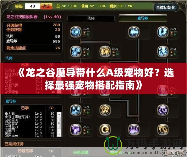 《龍之谷魔導帶什么A級寵物好？選擇最強寵物搭配指南》