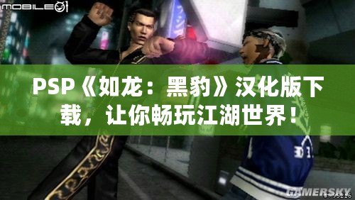 PSP《如龍：黑豹》漢化版下載，讓你暢玩江湖世界！