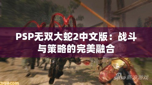 PSP無雙大蛇2中文版：戰斗與策略的完美融合