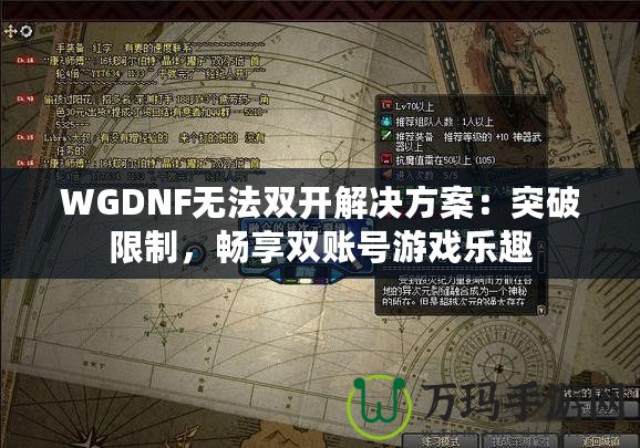 WGDNF無法雙開解決方案：突破限制，暢享雙賬號游戲樂趣