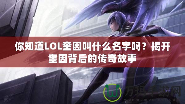 你知道LOL奎因叫什么名字嗎？揭開奎因背后的傳奇故事