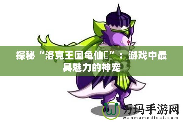 探秘“洛克王國龜仙鹟”：游戲中最具魅力的神寵