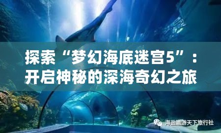 探索“夢(mèng)幻海底迷宮5”：開(kāi)啟神秘的深海奇幻之旅！