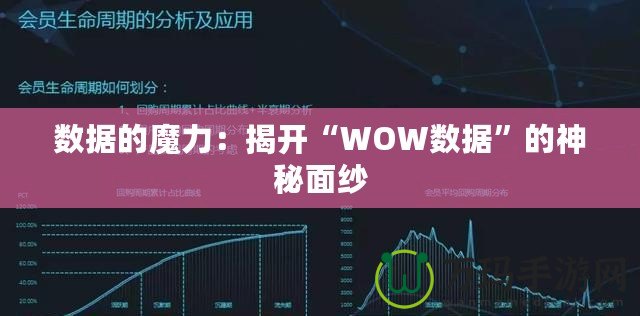 數據的魔力：揭開“WOW數據”的神秘面紗