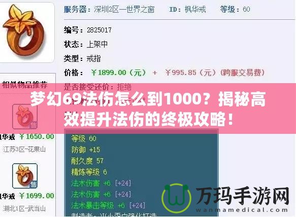 夢幻69法傷怎么到1000？揭秘高效提升法傷的終極攻略！