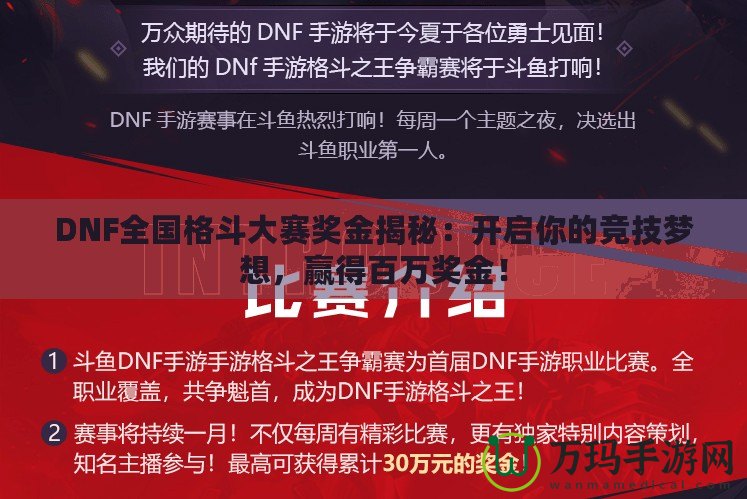 DNF全國格斗大賽獎金揭秘：開啟你的競技夢想，贏得百萬獎金！