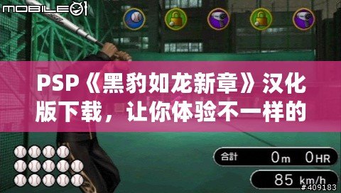 PSP《黑豹如龍新章》漢化版下載，讓你體驗不一樣的江湖風云！