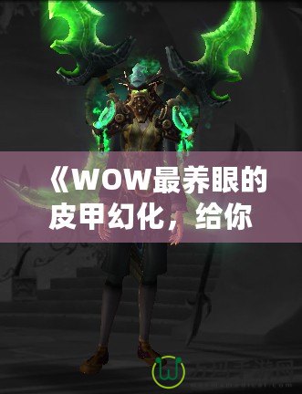 《WOW最養眼的皮甲幻化，給你不一樣的視覺盛宴》