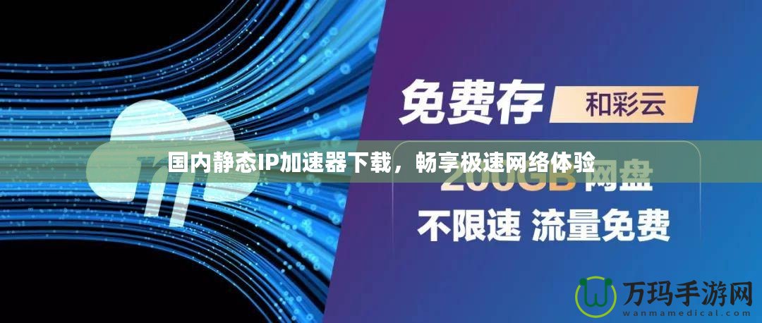 國內靜態IP加速器下載，暢享極速網絡體驗