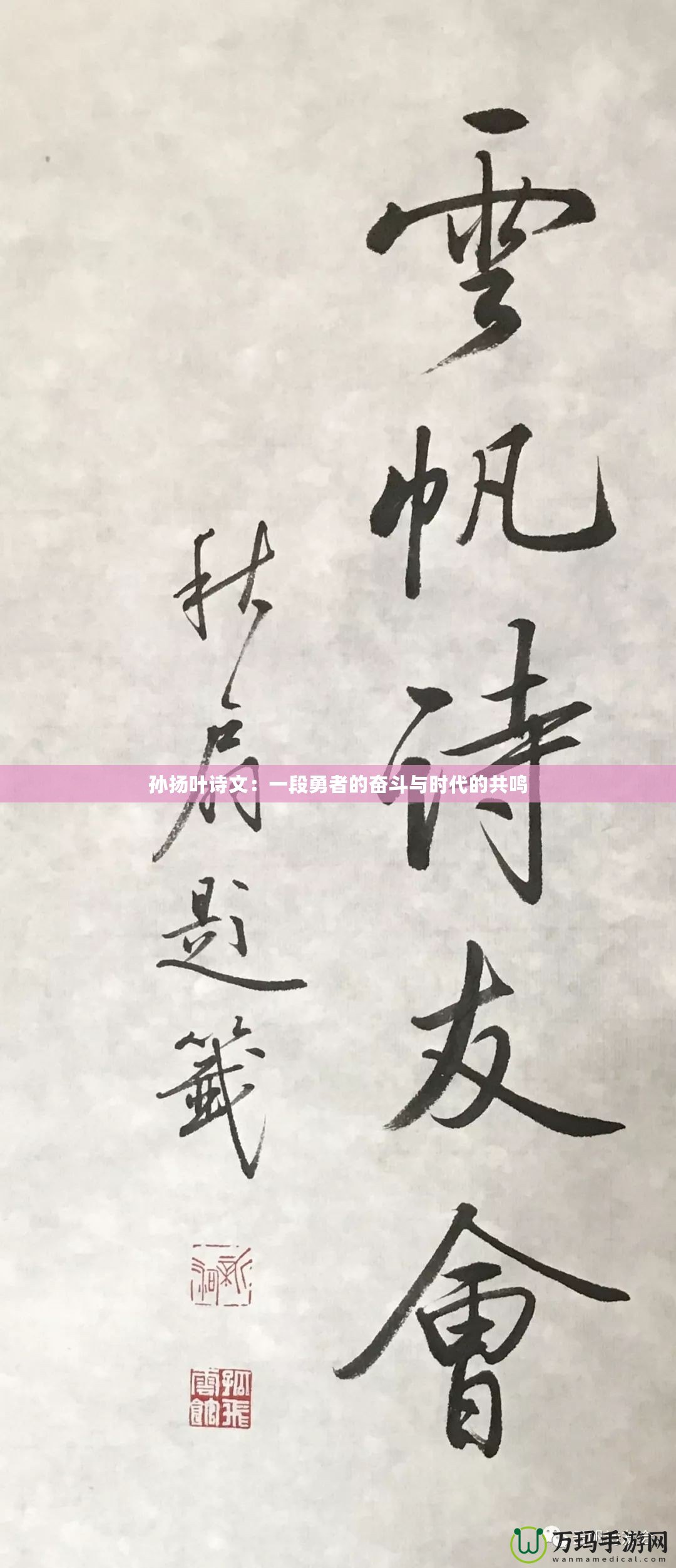 孫揚(yáng)葉詩文：一段勇者的奮斗與時(shí)代的共鳴