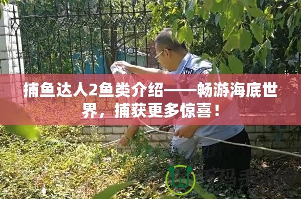 捕魚達(dá)人2魚類介紹——暢游海底世界，捕獲更多驚喜！