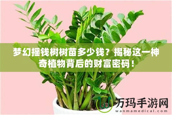 夢幻搖錢樹樹苗多少錢？揭秘這一神奇植物背后的財富密碼！