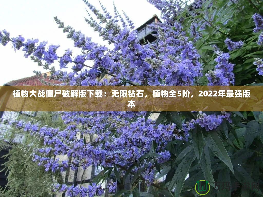 植物大戰僵尸破解版下載：無限鉆石，植物全5階，2022年最強版本