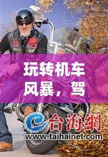 玩轉機車風暴，駕馭速度與激情——PSV機車風暴中文全解析