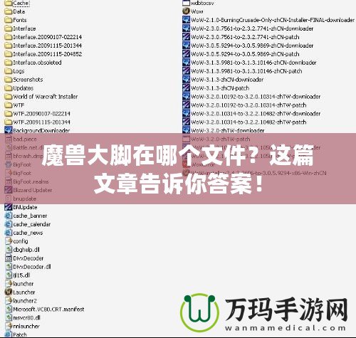 魔獸大腳在哪個文件？這篇文章告訴你答案！