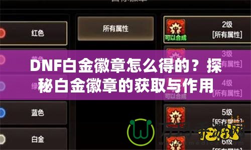 DNF白金徽章怎么得的？探秘白金徽章的獲取與作用