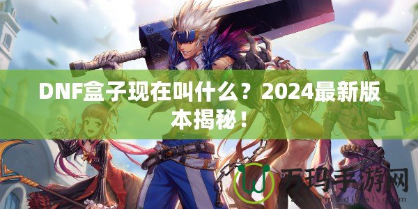 DNF盒子現(xiàn)在叫什么？2024最新版本揭秘！