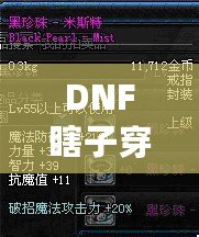 DNF瞎子穿什么甲？讓你秒變無敵的裝備選擇解析！