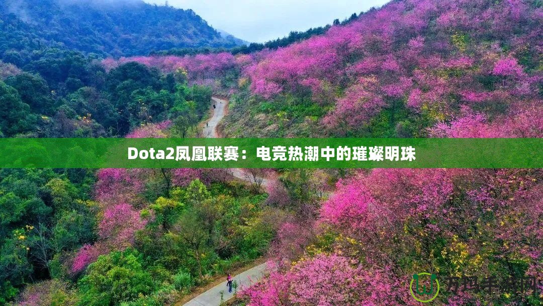 Dota2鳳凰聯賽：電競熱潮中的璀璨明珠