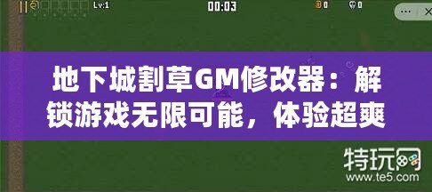 地下城割草GM修改器：解鎖游戲無限可能，體驗超爽割草快感！