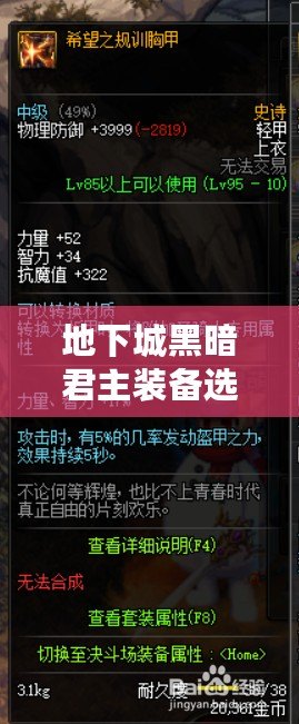 地下城黑暗君主裝備選擇全解析：打造最強戰力