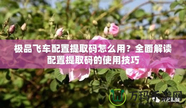 極品飛車配置提取碼怎么用？全面解讀配置提取碼的使用技巧