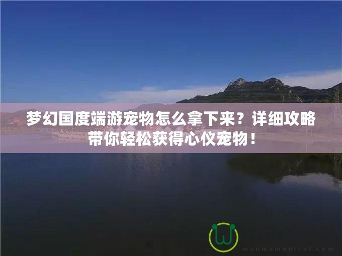 夢幻國度端游寵物怎么拿下來？詳細攻略帶你輕松獲得心儀寵物！