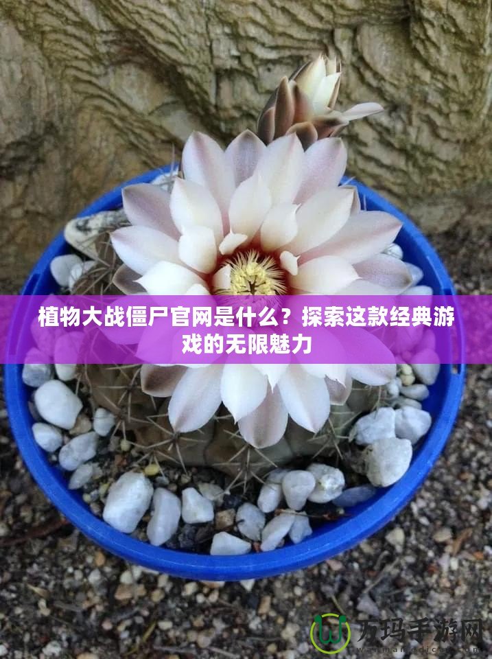 植物大戰僵尸官網是什么？探索這款經典游戲的無限魅力