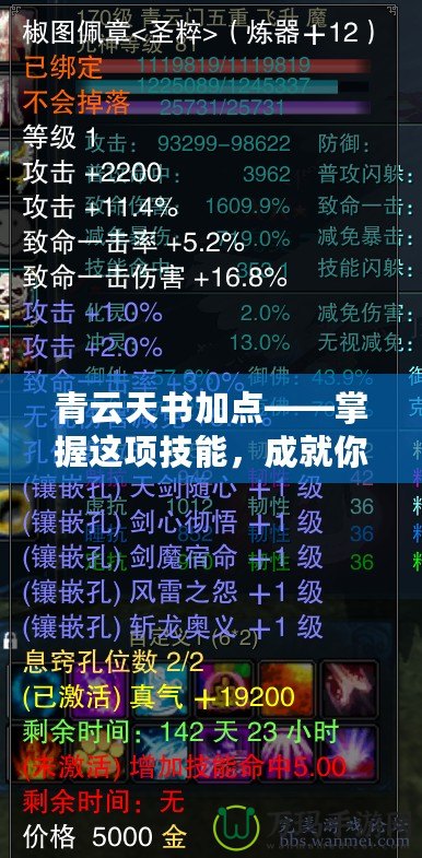 青云天書(shū)加點(diǎn)——掌握這項(xiàng)技能，成就你的游戲巔峰