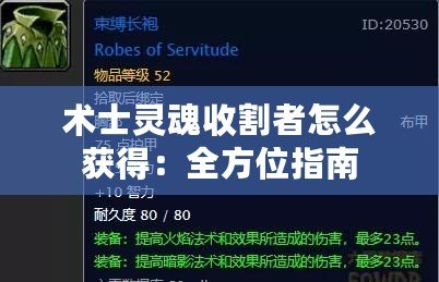 術(shù)士靈魂收割者怎么獲得：全方位指南
