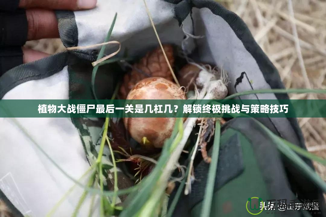 植物大戰僵尸最后一關是幾杠幾？解鎖終極挑戰與策略技巧