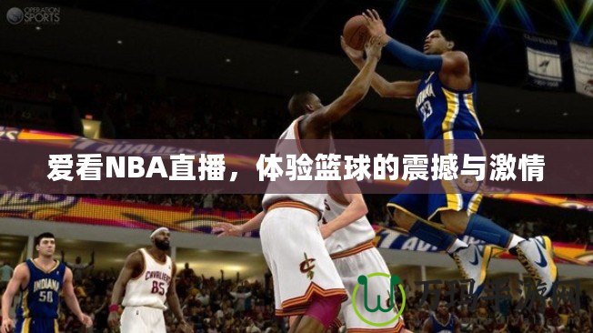 愛看NBA直播，體驗籃球的震撼與激情