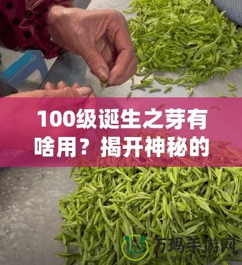 100級誕生之芽有啥用？揭開神秘的面紗，探索無限可能！