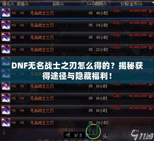 DNF無名戰士之刃怎么得的？揭秘獲得途徑與隱藏福利！