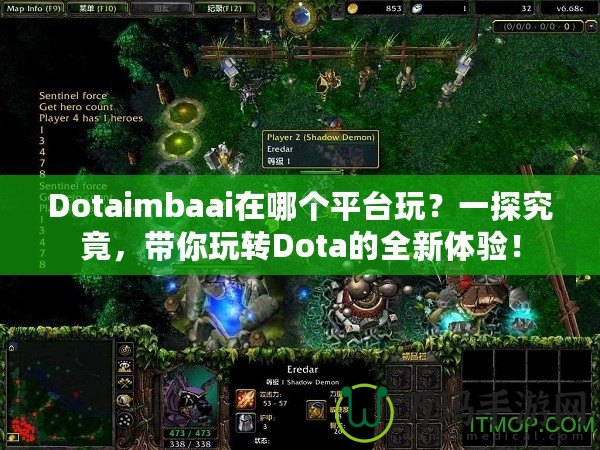 Dotaimbaai在哪個平臺玩？一探究竟，帶你玩轉Dota的全新體驗！