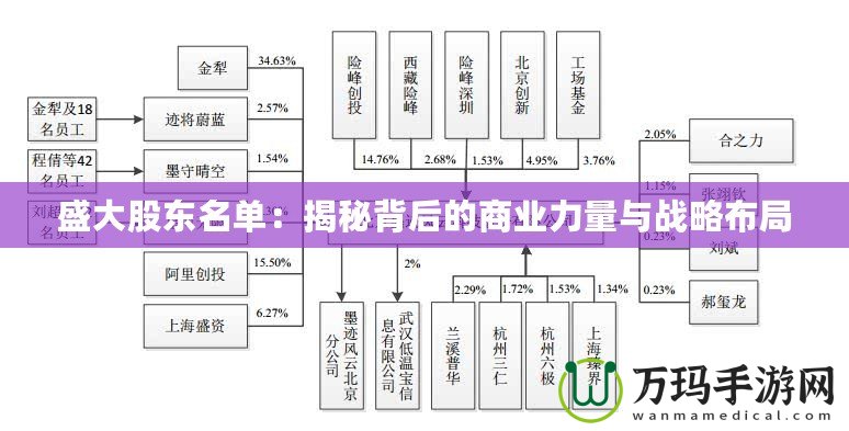 盛大股東名單：揭秘背后的商業力量與戰略布局