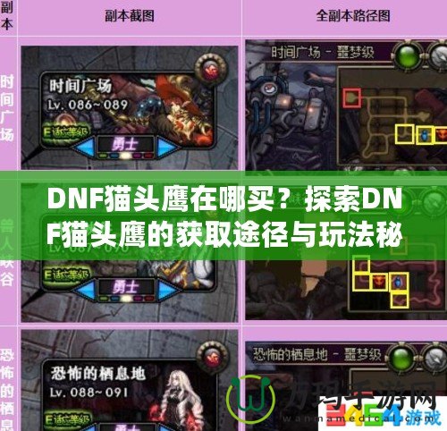 DNF貓頭鷹在哪買？探索DNF貓頭鷹的獲取途徑與玩法秘訣！