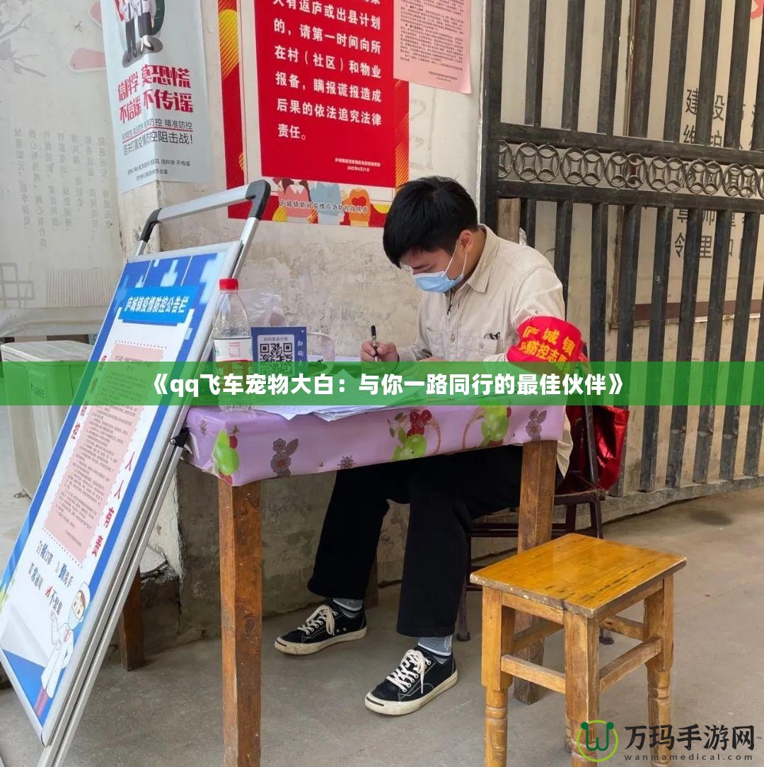 《qq飛車寵物大白：與你一路同行的最佳伙伴》