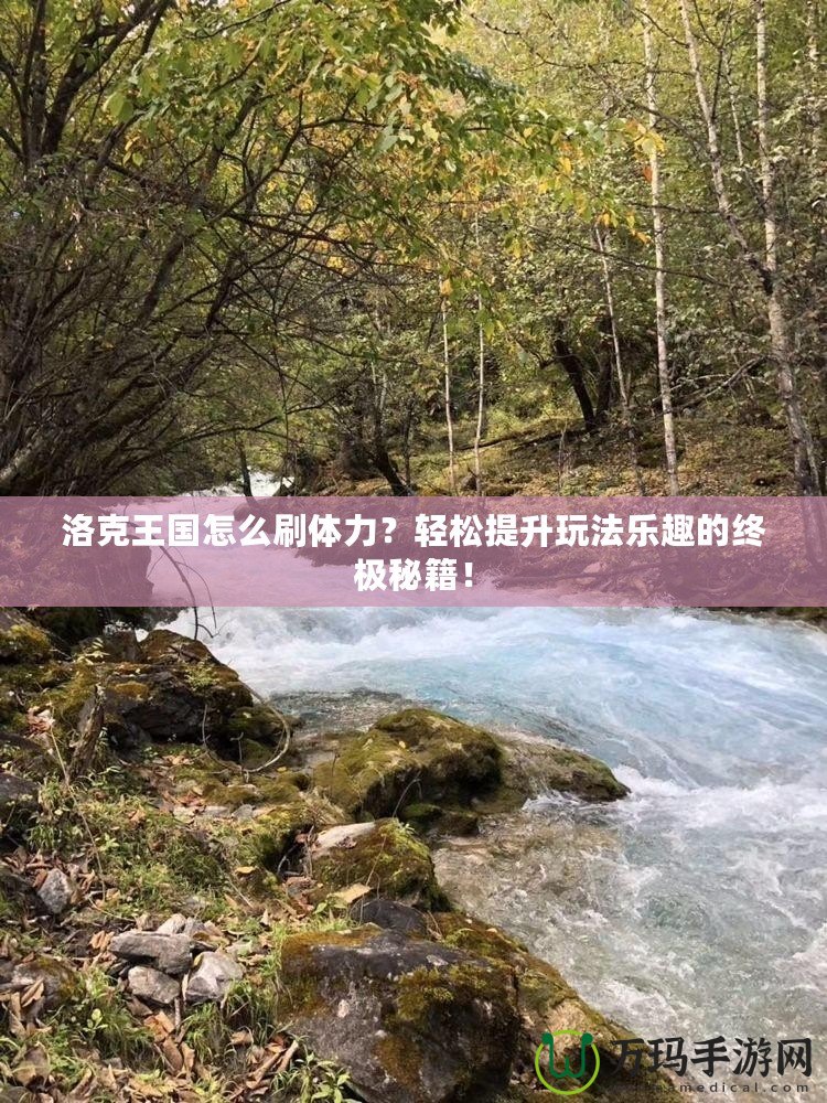 洛克王國怎么刷體力？輕松提升玩法樂趣的終極秘籍！