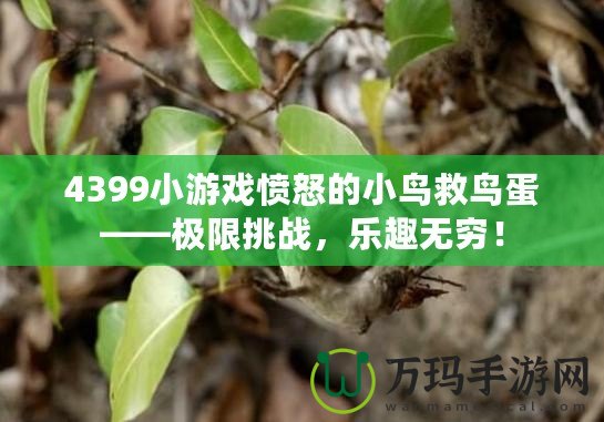 4399小游戲憤怒的小鳥救鳥蛋——極限挑戰，樂趣無窮！