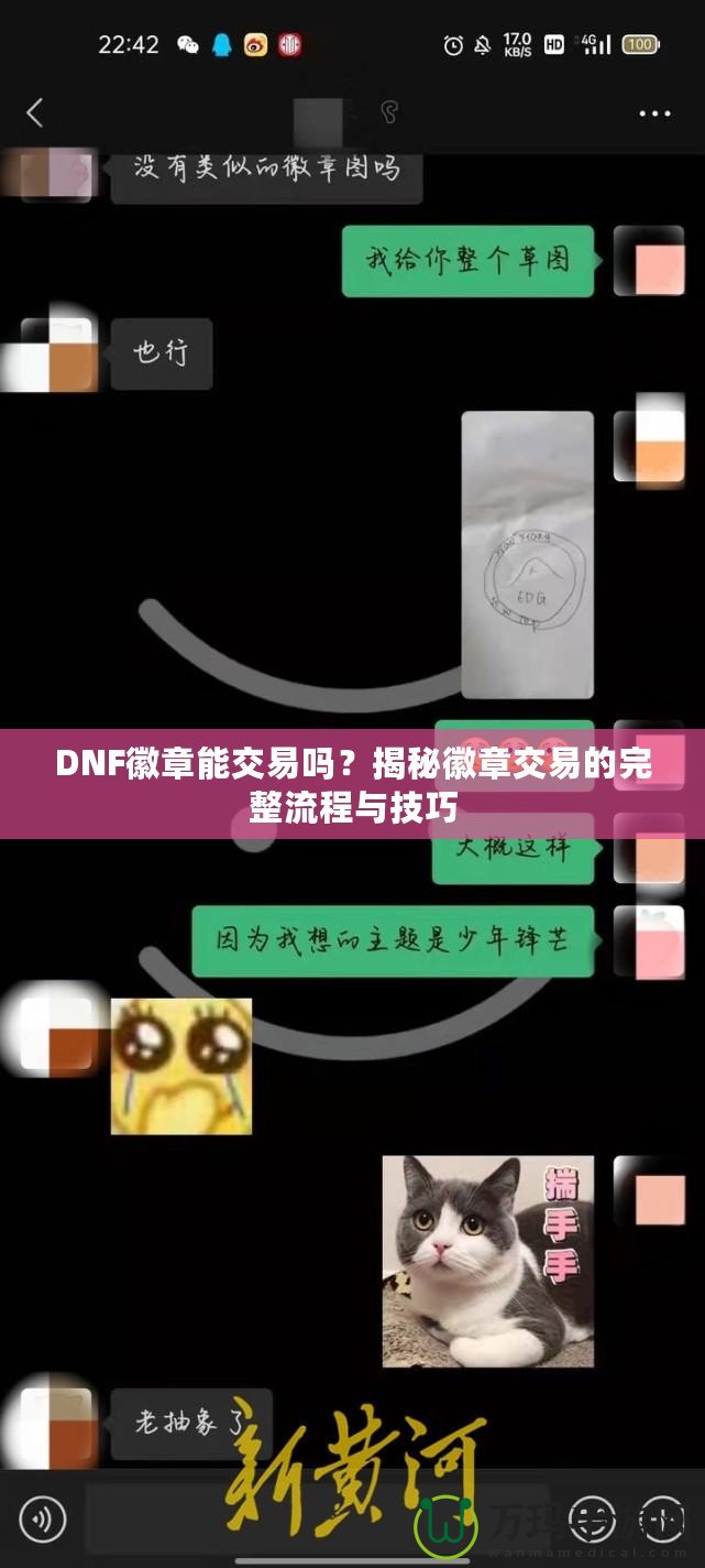 DNF徽章能交易嗎？揭秘徽章交易的完整流程與技巧