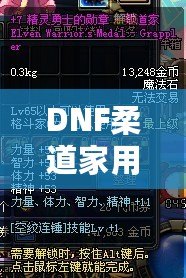 DNF柔道家用什么武器PK最強？掌握這些，你也能成為戰場王者！